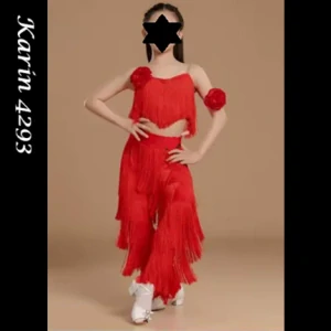 Karin 4293