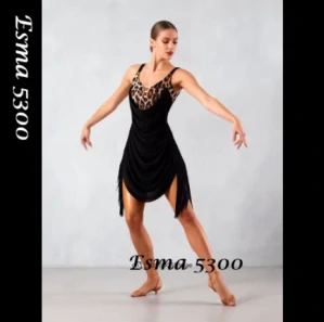 Esma 5300
